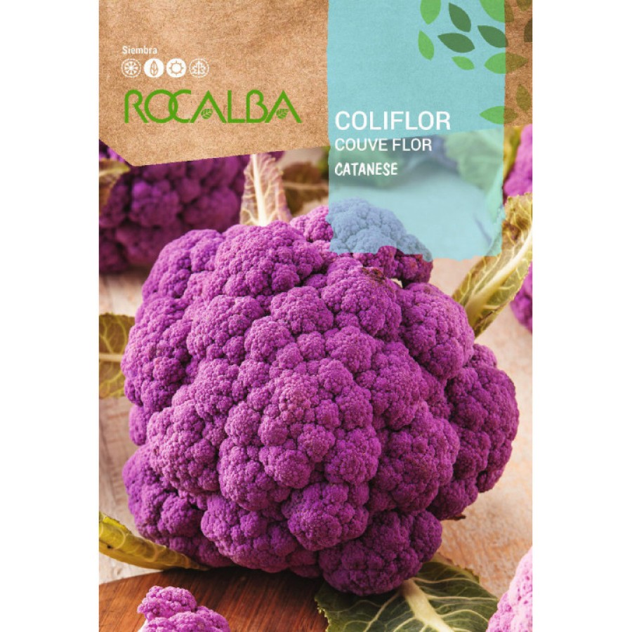 S.COUVE FLOR ROCALBA CATANESE