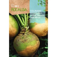 S.NABO ROCALBA RUTABAGA DE CAULE VERDE S.NABO ROCALBA RUTABAGA DE CAULE VERDE