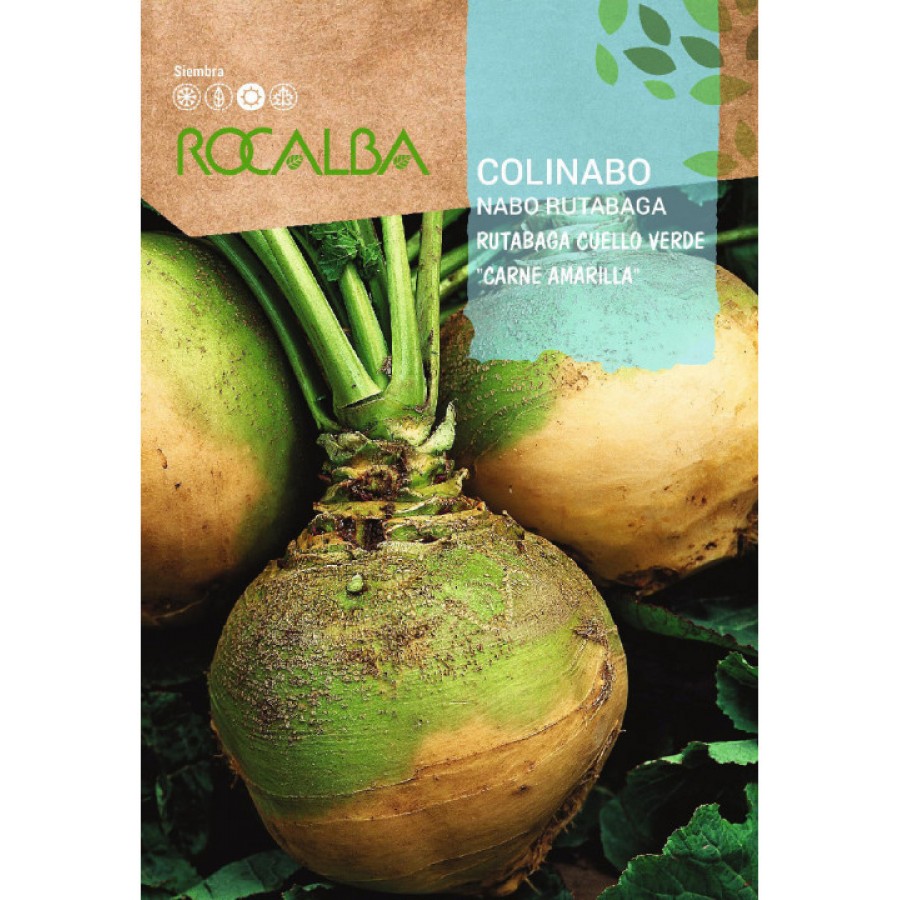 S.NABO ROCALBA RUTABAGA DE CAULE VERDE S.NABO ROCALBA RUTABAGA DE CAULE VERDE