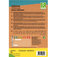 S.ENDIVIA ROCALBA BRUXELAS WITLOOF