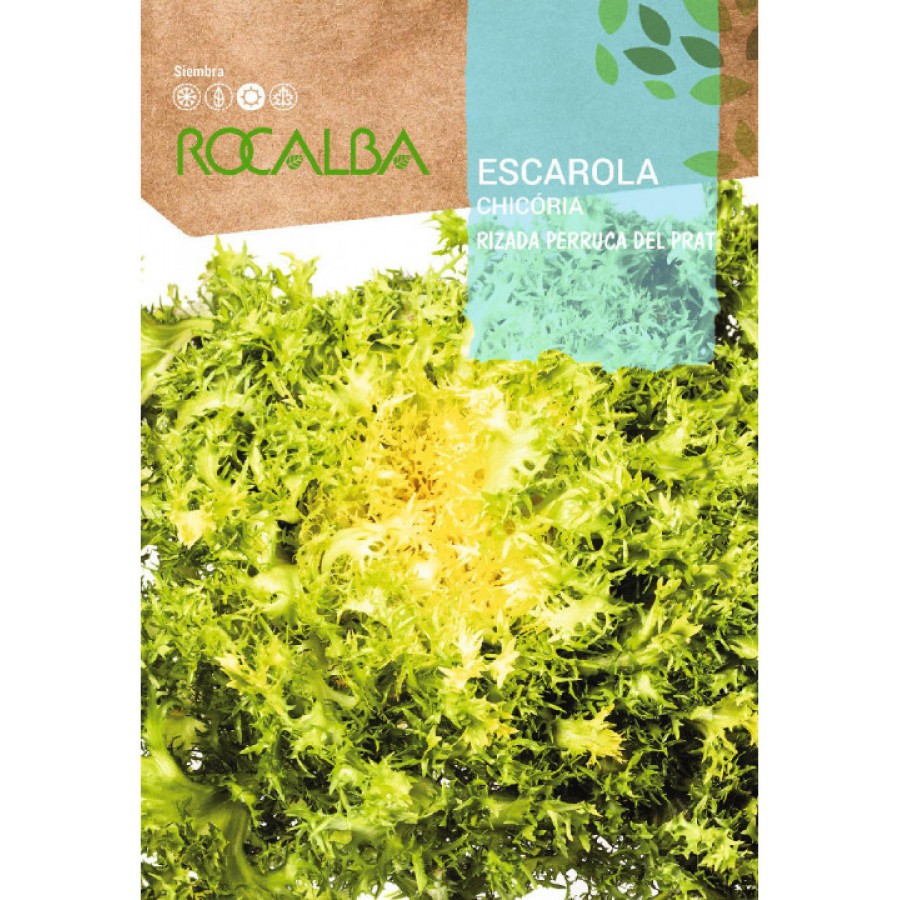 S.CHICORIA ROCALBA FRISADA PERRUCA PRAT