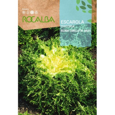 S.CHICORIA ROCALBA FRISADA CABELO ANJO