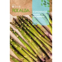 S.ESPARGO ROCALBA MARY VERDE