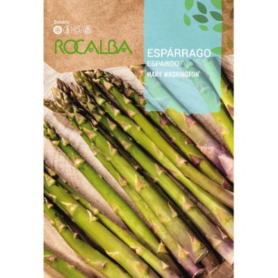 S.ESPARGO ROCALBA MARY VERDE
