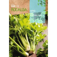 S.AIPO ROCALBA VERDE PASCAL S.AIPO ROCALBA VERDE PASCAL