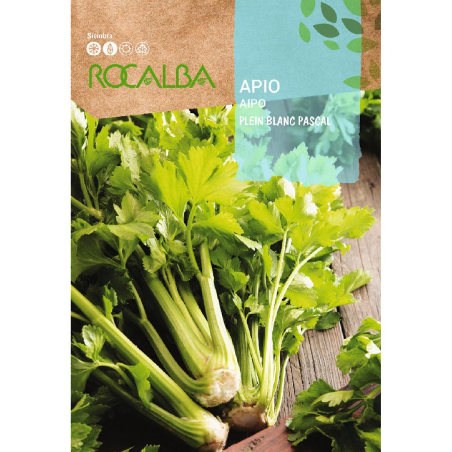 S.AIPO ROCALBA VERDE PASCAL S.AIPO ROCALBA VERDE PASCAL