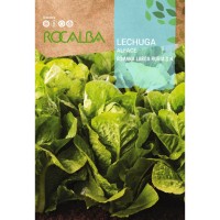S.ALFACE ROCALBA ROMANA LARGA RUBIA S.ALFACE ROCALBA ROMANA LARGA RUBIA