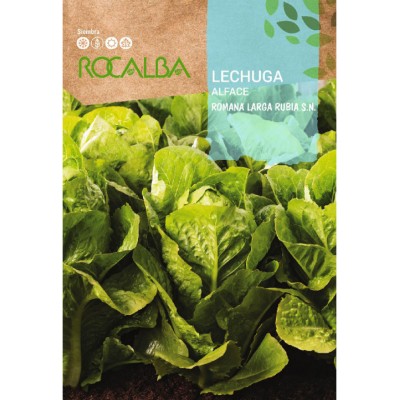 S.ALFACE ROCALBA ROMANA LARGA RUBIA