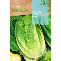 S.ALFACE ROCALBA INVERNO S.ALFACE ROCALBA INVERNO