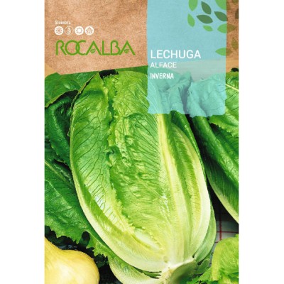 S.ALFACE ROCALBA INVERNO