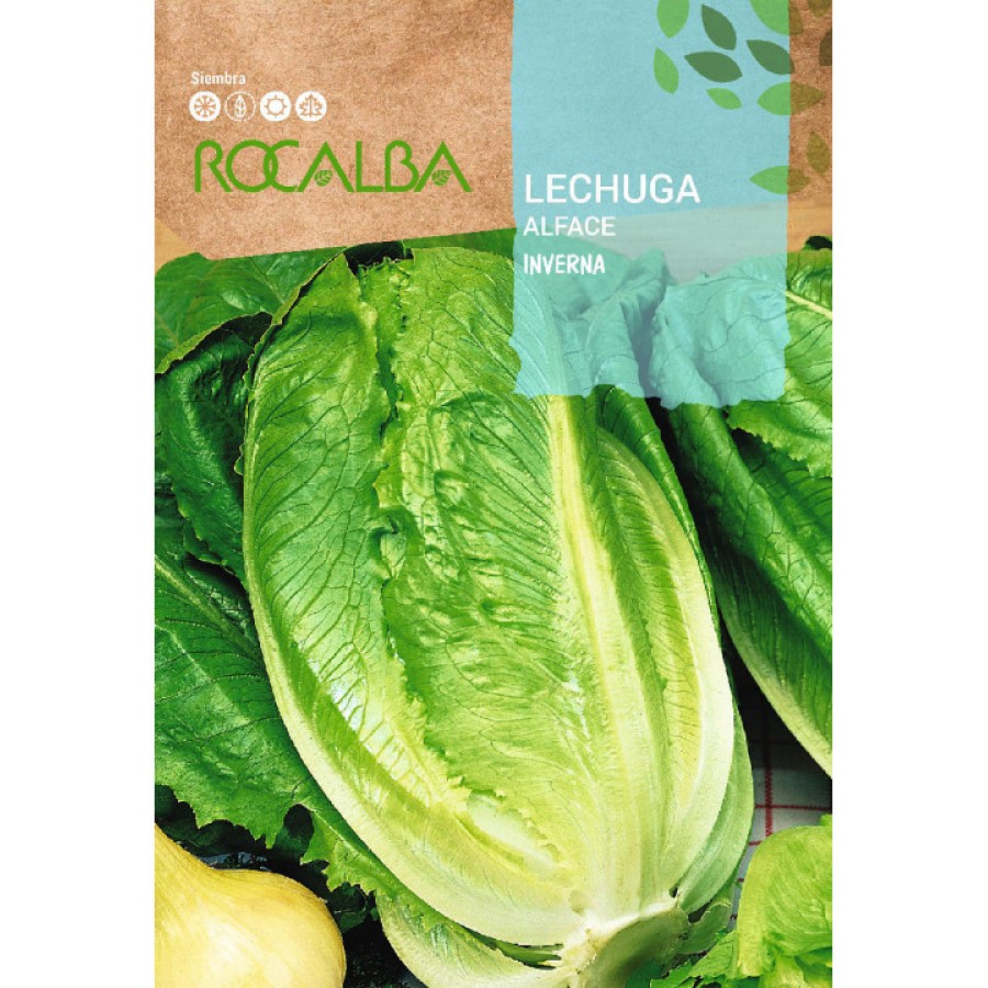 S.ALFACE ROCALBA INVERNO S.ALFACE ROCALBA INVERNO