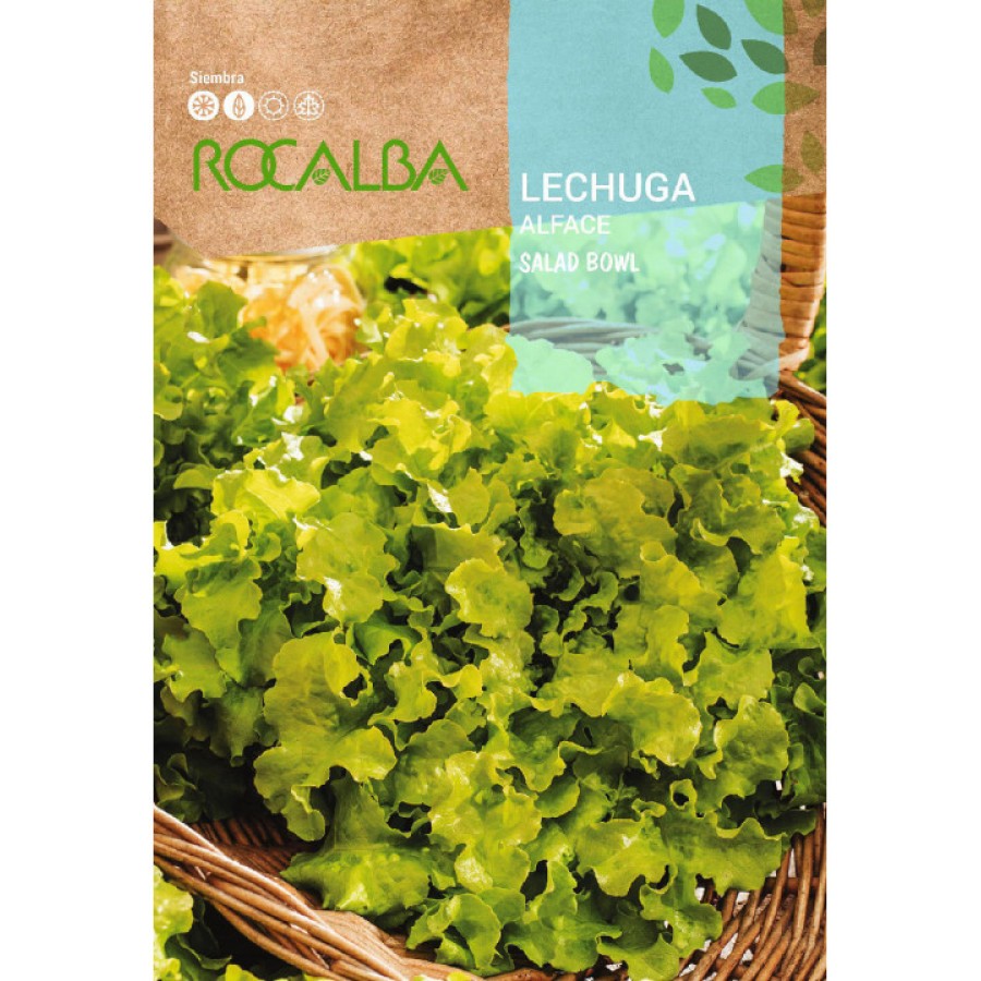 S.ALFACE ROCALBA SALAD BOWL-CARTEIRA