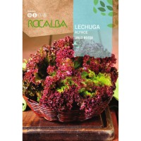 S.ALFACE ROCALBA LOLLO ROSSA-CARTEIRA