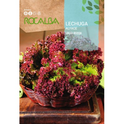 S.ALFACE ROCALBA LOLLO ROSSA-CARTEIRA