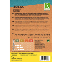 S.ALFACE ROCALBA LOLLO ROSSA-CARTEIRA S.ALFACE ROCALBA LOLLO ROSSA-CARTEIRA