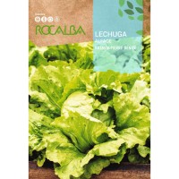 S.ALFACE ROCALBA BATAVIA PIERR