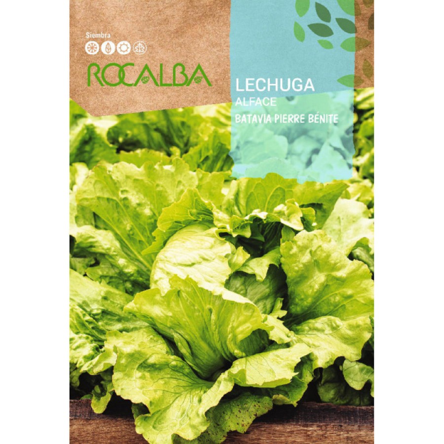 S.ALFACE ROCALBA BATAVIA PIERR