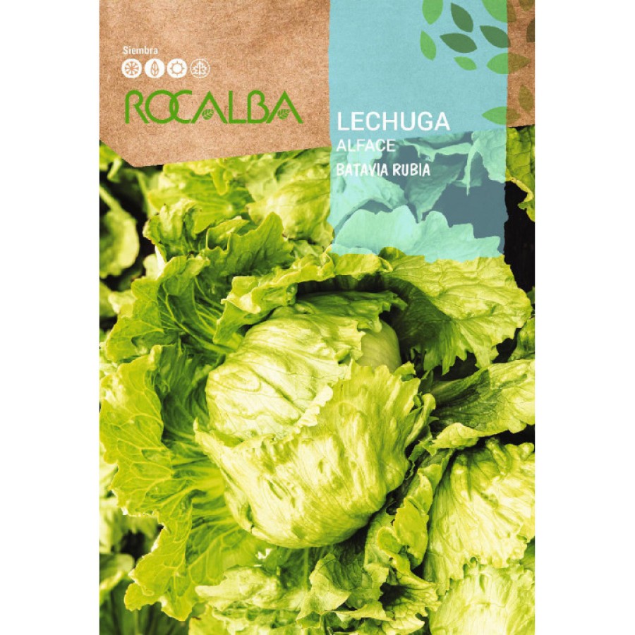 S.ALFACE ROCALBA LOURA S.ALFACE ROCALBA LOURA