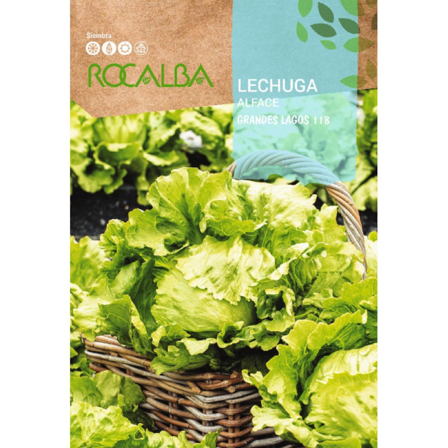 S.ALFACE ROCALBA GRANDES LAGOS-100gr S.ALFACE ROCALBA GRANDES LAGOS-100gr