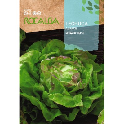 S.ALFACE ROCALBA RAINHA DE MAIO