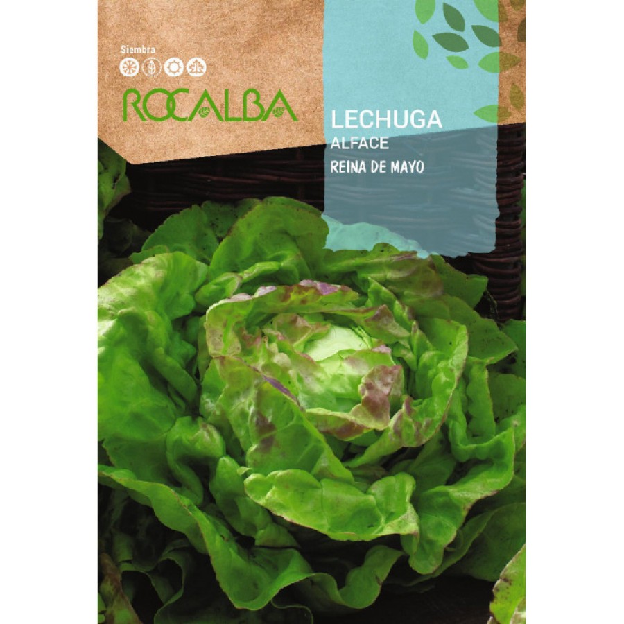 S.ALFACE ROCALBA RAINHA DE MAIO