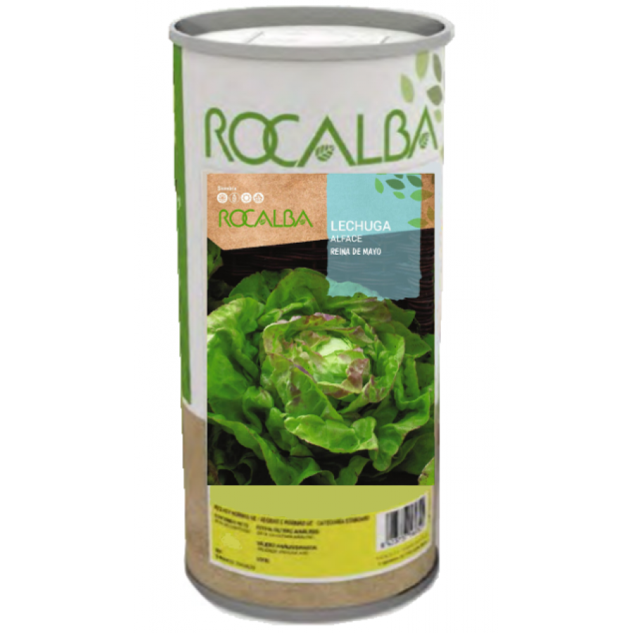 S.ALFACE ROCALBA RAINHA DE MAIO - 500G S.ALFACE ROCALBA RAINHA DE MAIO - 500G