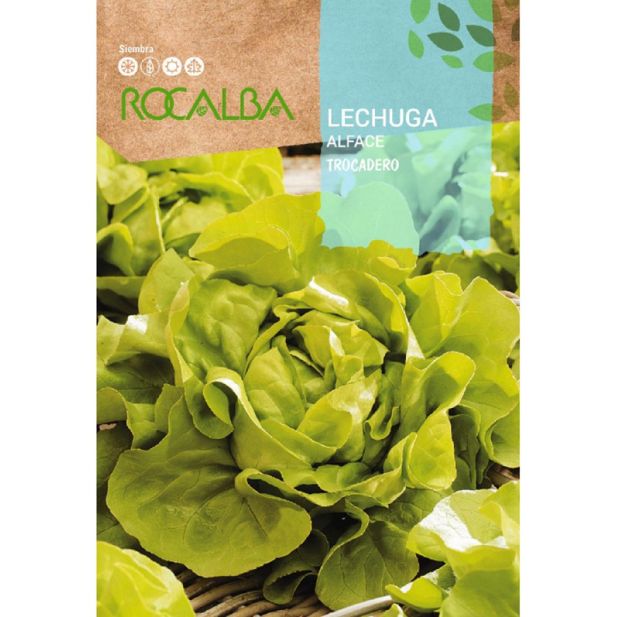 S.ALFACE ROCALBA TROCADERO S.ALFACE ROCALBA TROCADERO