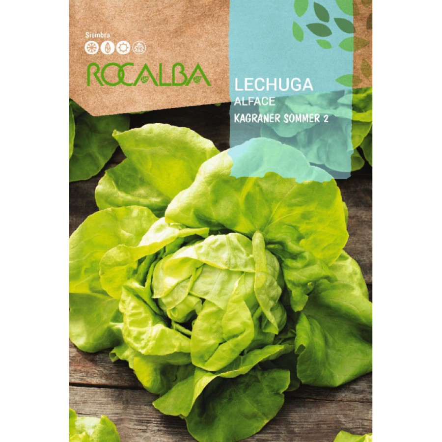 S.ALFACE ROCALBA KAGRANER SOMMER S.ALFACE ROCALBA KAGRANER SOMMER