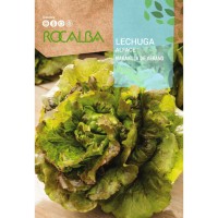 S.ALFACE ROCALBA MARAVILHA DE VERAO S.ALFACE ROCALBA MARAVILHA DE VERAO