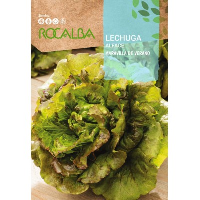 S.ALFACE ROCALBA MARAVILHA DE VERAO