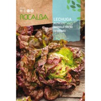 S.ALFACE ROCALBA MARAVILHA 4 ESTAÇOES S.ALFACE ROCALBA MARAVILHA 4 ESTAÇOES