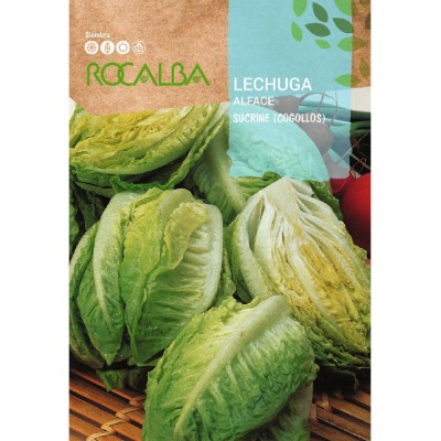 S.ALFACE ROCALBA SUCRINE