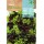 S.ALFACE ROCALBA BABY LEAF DE CORTAR