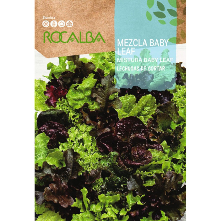 S.ALFACE ROCALBA BABY LEAF DE CORTAR S.ALFACE ROCALBA BABY LEAF DE CORTAR