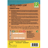 S.ALFACE ROCALBA BABY LEAF DE CORTAR S.ALFACE ROCALBA BABY LEAF DE CORTAR