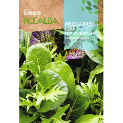 S.ALFACE ROCALBA SALADA ASIATICA