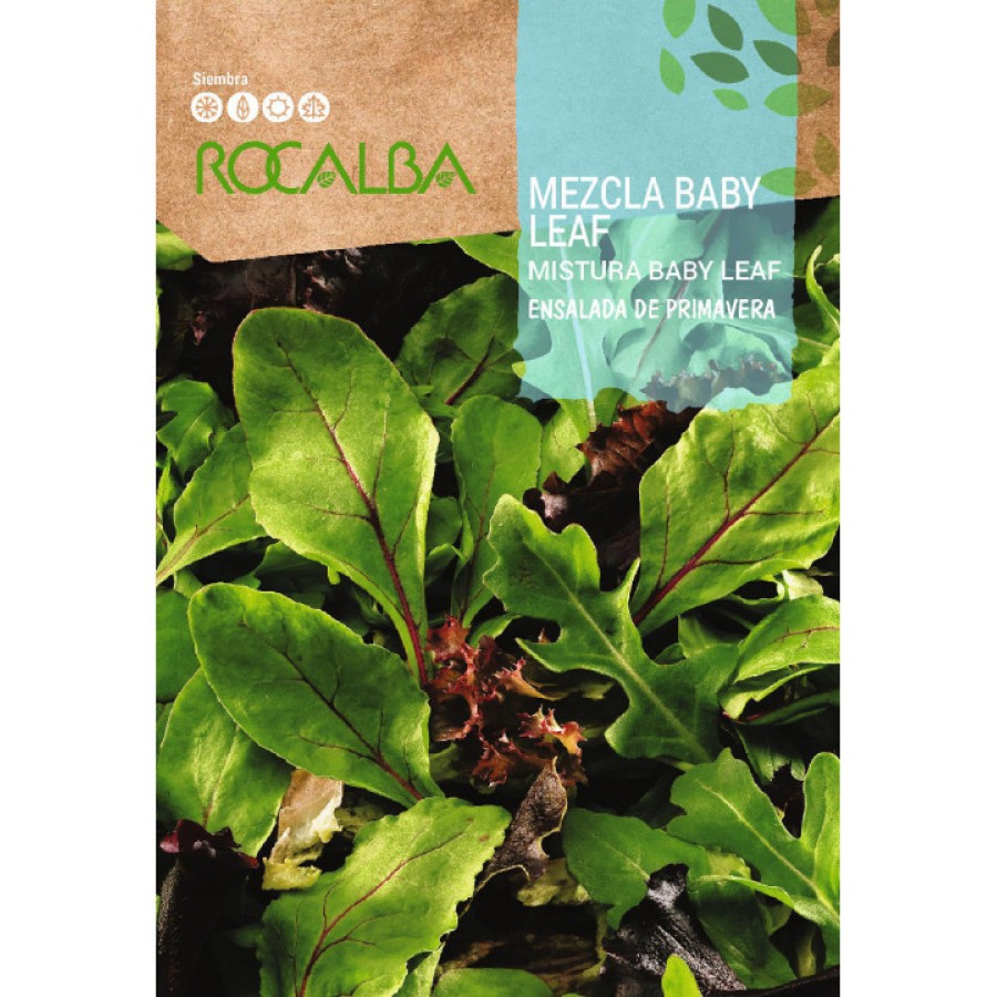 S.ALFACE ROCALBA MISTURA BABY LEAF S.ALFACE ROCALBA MISTURA BABY LEAF