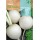S.NABO BOLA DE NEVE ROCALBA
