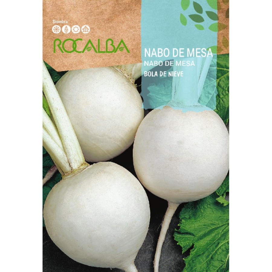 S.NABO BOLA DE NEVE ROCALBA S.NABO BOLA DE NEVE ROCALBA