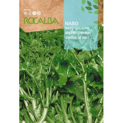 S.NABO GRELEIRO TEMPORAO RO.60DIAS-CARTE