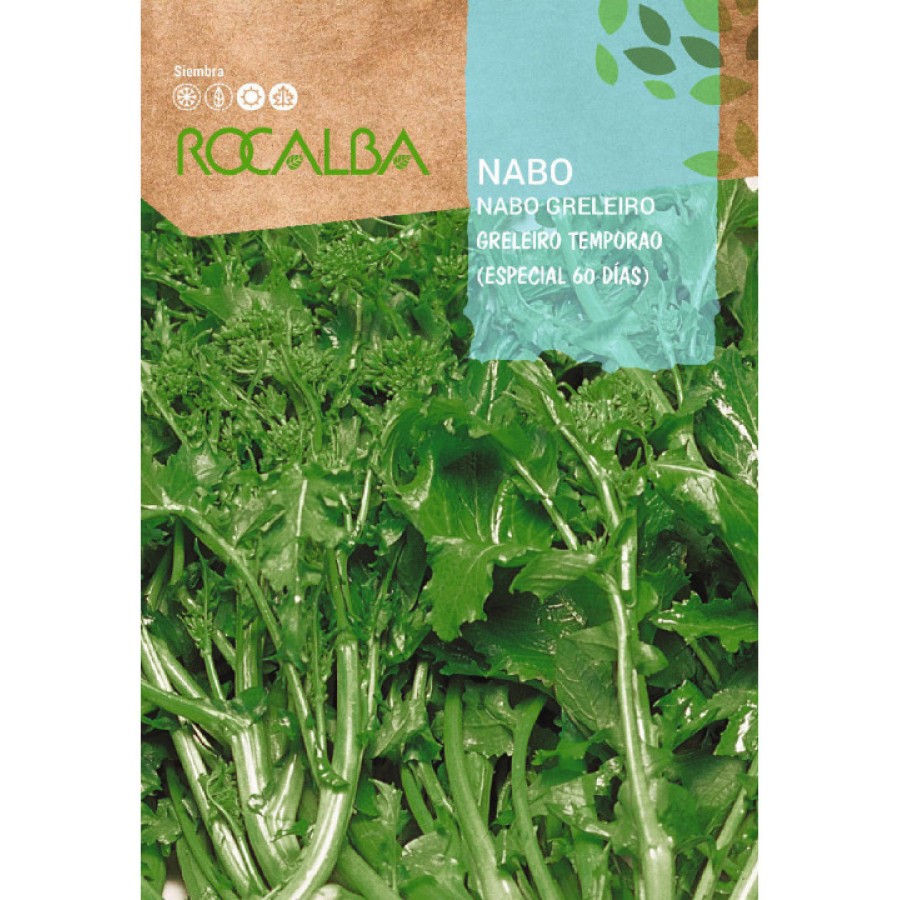 S.NABO GRELEIRO TEMPORAO RO.60DIAS-CARTE
