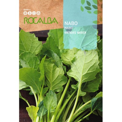 S.NABIÇAS ROCALBA DE RAMA