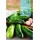 S.PEPINO ROCALBA CONSERVA WISCONSIN SMR