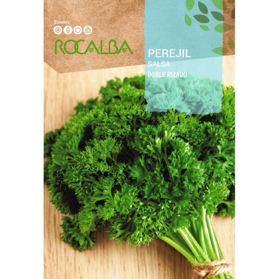 S.SALSA FRISADA ROCALBA DUPLA S.SALSA FRISADA ROCALBA DUPLA