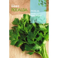 S.SALSA ROCALBA GIGANTE DE ITALIA