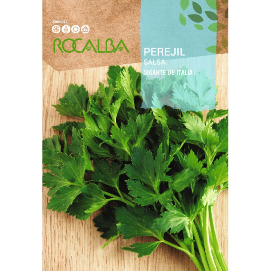 S.SALSA ROCALBA GIGANTE DE ITALIA