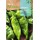 S.PIMENTO ROCALBA DOCE ITALIANO