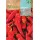 S.PIMENTO ROCALBA SOLIMAN