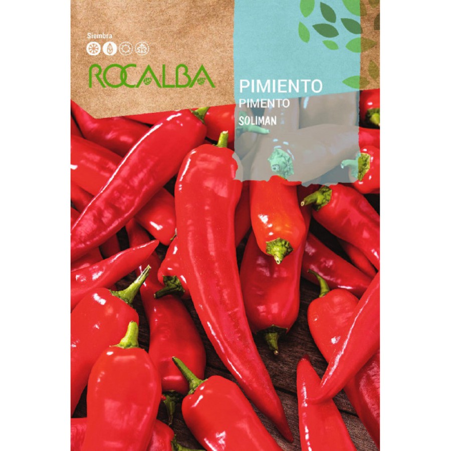 S.PIMENTO ROCALBA SOLIMAN S.PIMENTO ROCALBA SOLIMAN