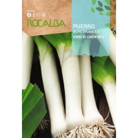 S.ALHO FRANCES ROCALBA CARENTA